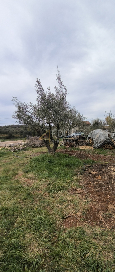 Istra, Marčana - okolica, samostojna hiša 50m2