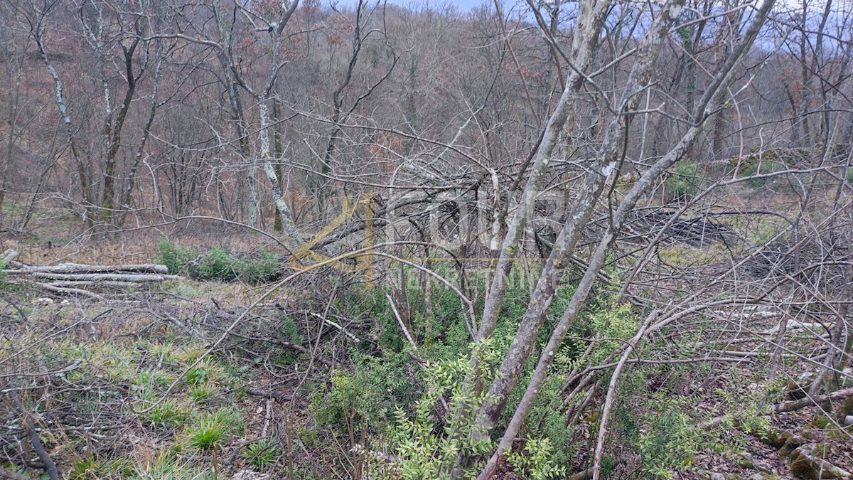 Zemljišče Viškovo, 2.731m2