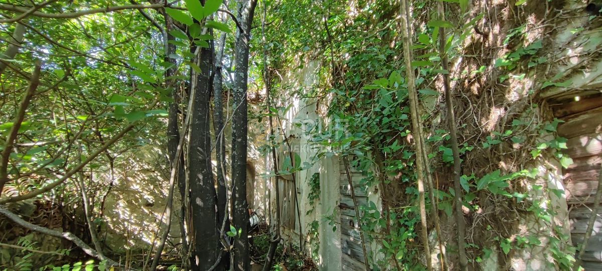 Hiša Tribalj, Vinodolska Općina, 250m2