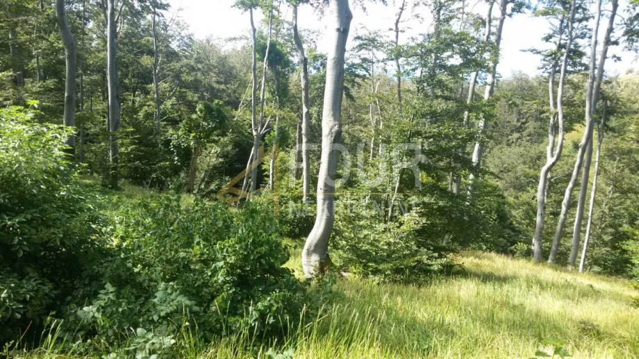 Zemljišče Škrljevo, Bakar, 29.685m2