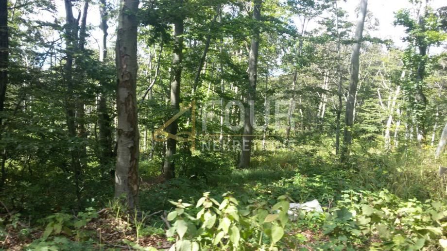 Zemljišče Škrljevo, Bakar, 29.685m2