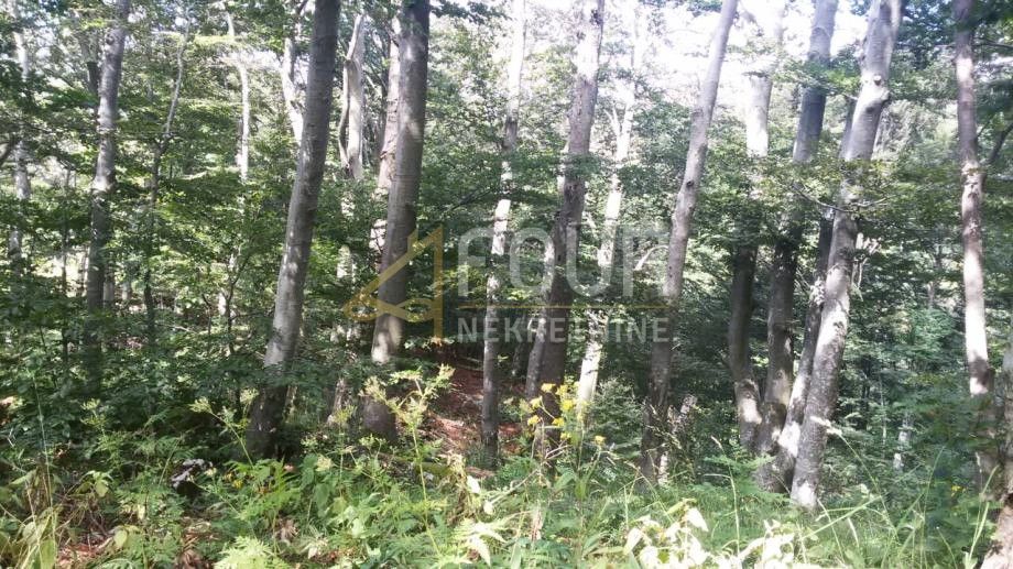 Zemljišče Škrljevo, Bakar, 29.685m2