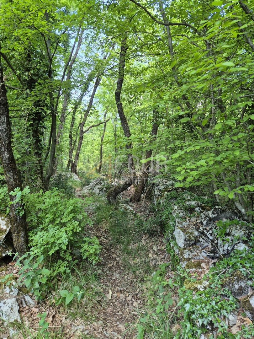Zemljišče Matulji, 10.471m2