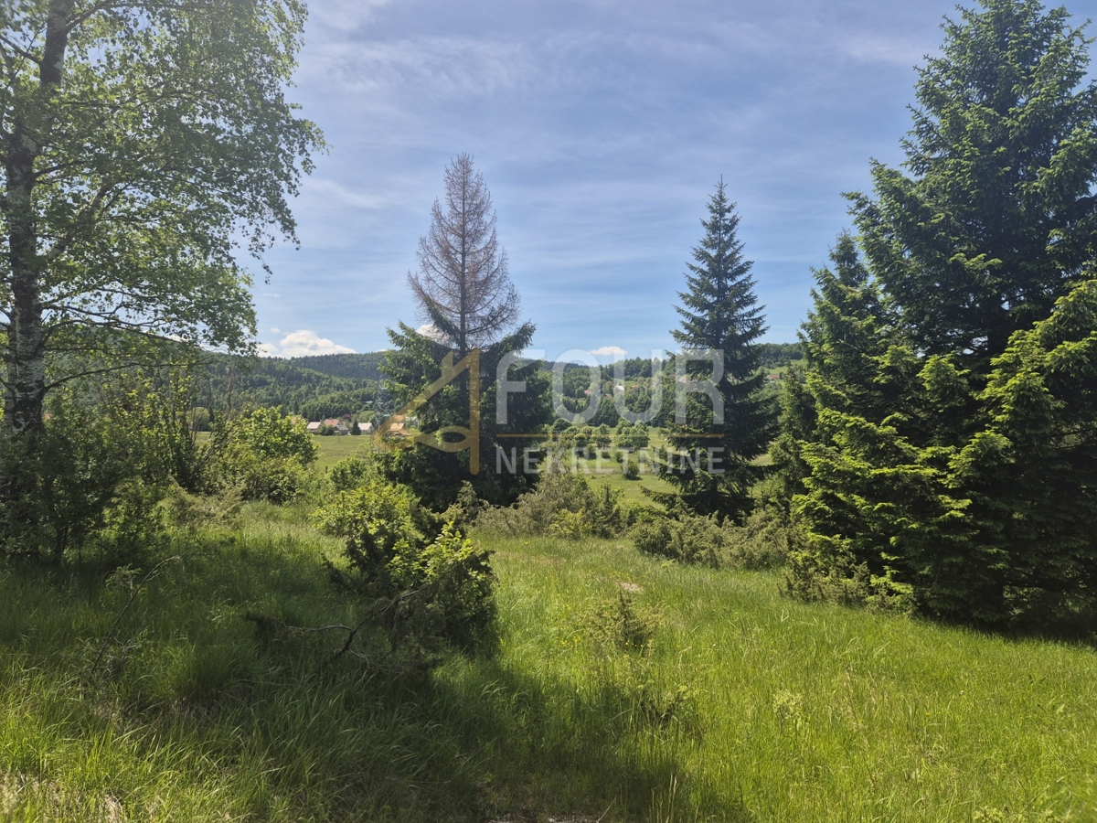Zemljišče Ravna Gora, 11.500m2