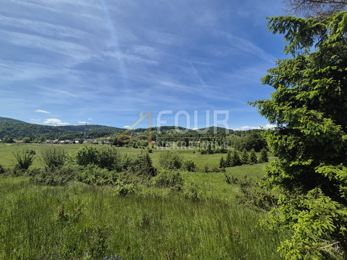 Zemljišče Ravna Gora, 11.500m2