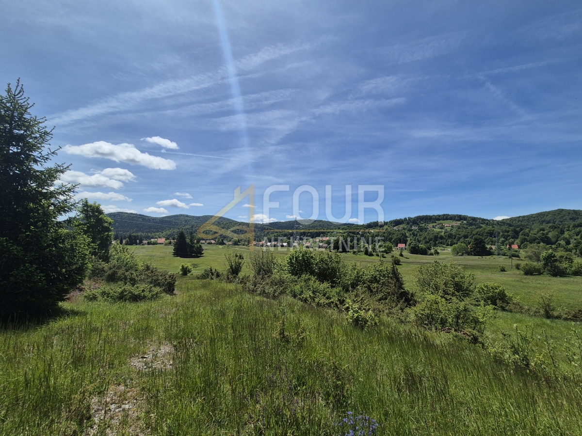 Zemljišče Ravna Gora, 11.500m2