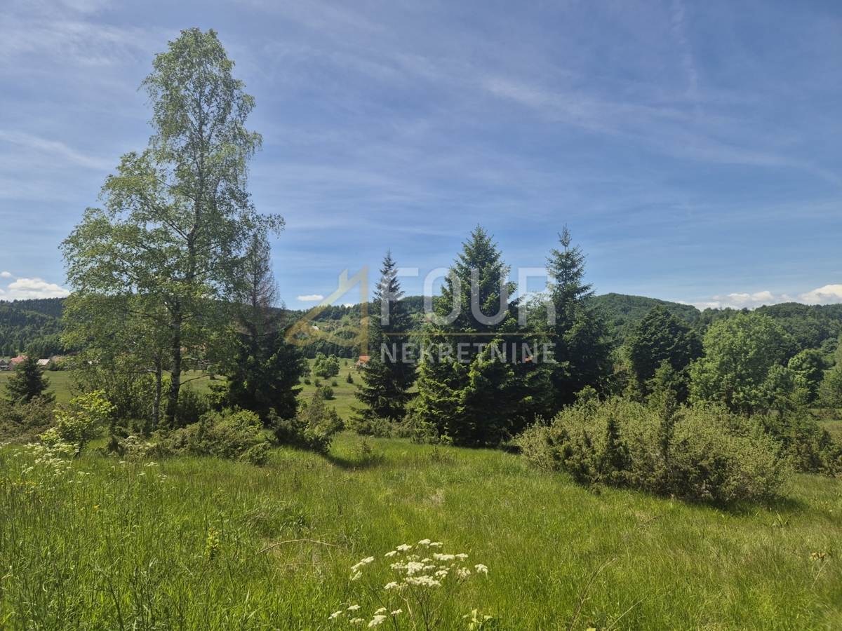 Zemljišče Ravna Gora, 11.500m2