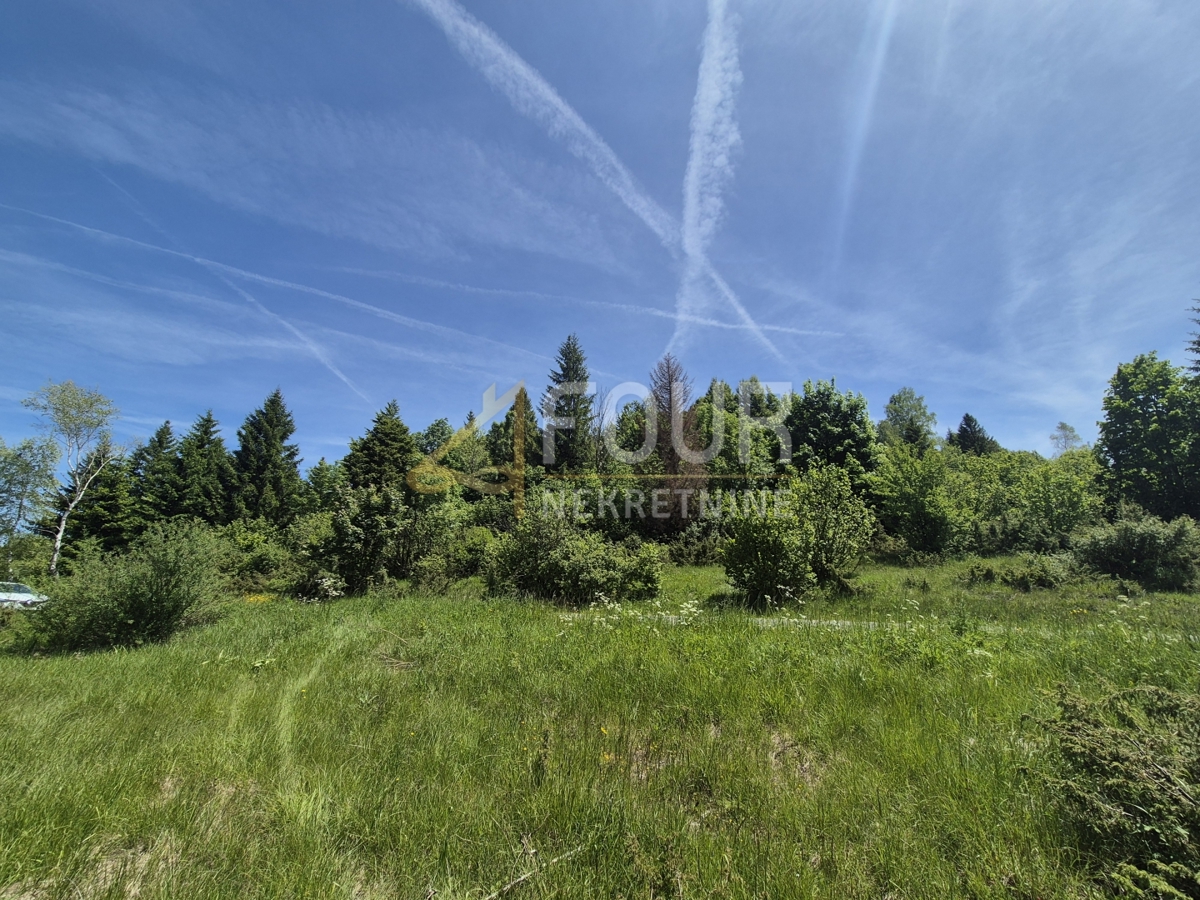 Zemljišče Ravna Gora, 11.500m2