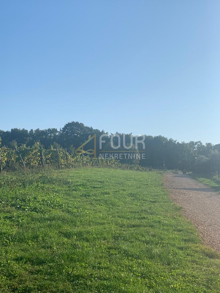 Zemljišče Kršikla, Pazin - Okolica, 45.000m2