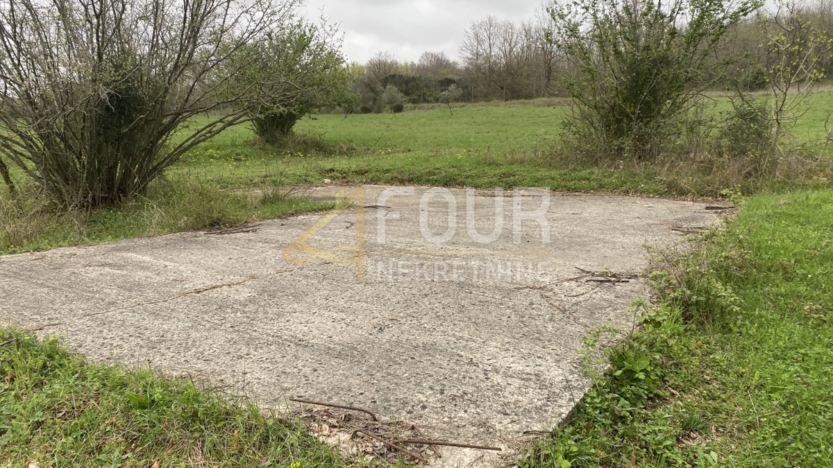 Istra, Kanfanar, kmetijsko zemljišče, 13.301m2