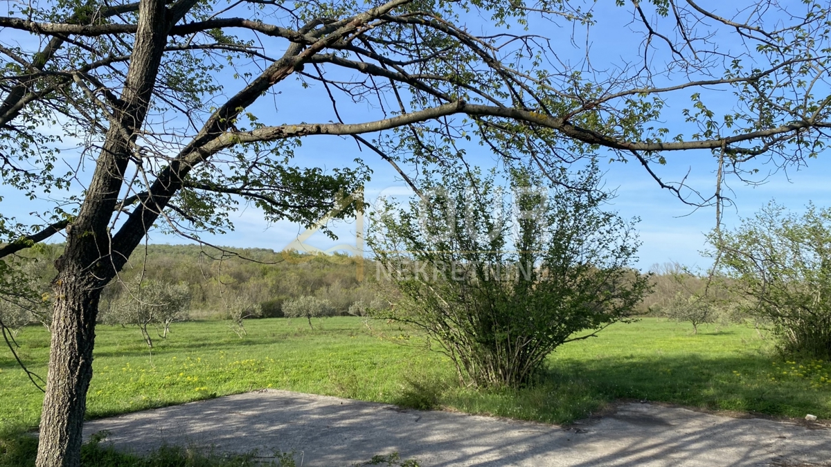 Istra, Kanfanar, kmetijsko zemljišče, 13.301m2