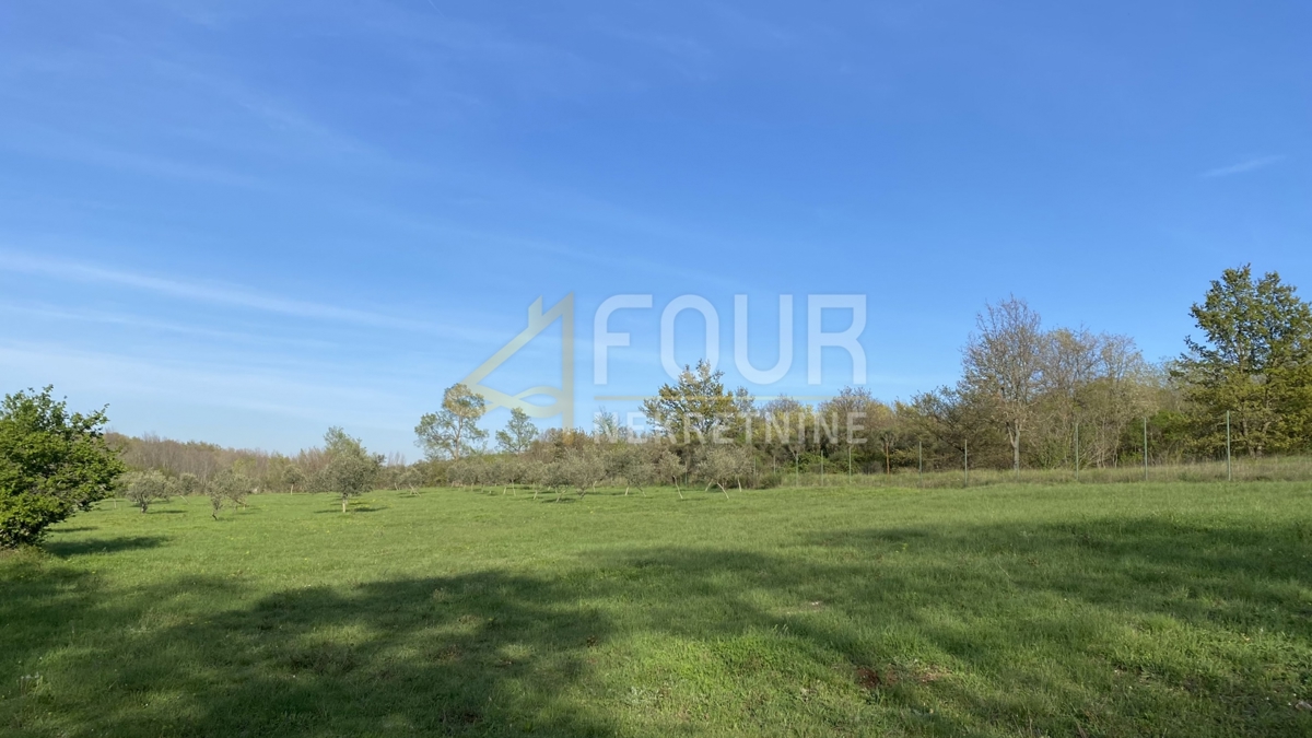 Istra, Kanfanar, kmetijsko zemljišče, 13.301m2