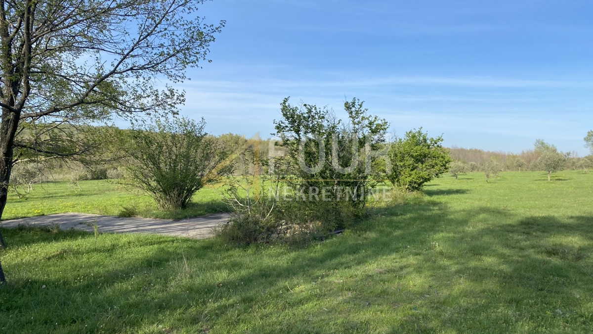 Istra, Kanfanar, kmetijsko zemljišče, 13.301m2