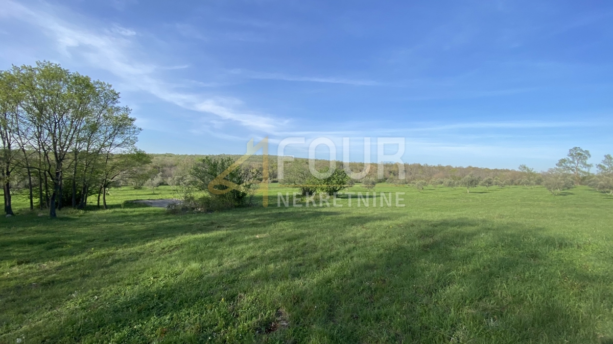 Istra, Kanfanar, kmetijsko zemljišče, 13.301m2