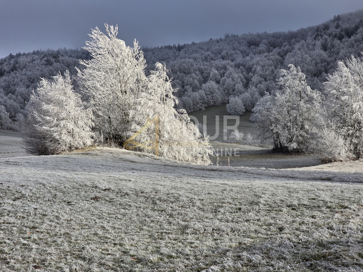 Zemljišče Begovo Razdolje, Mrkopalj, 1.000m2