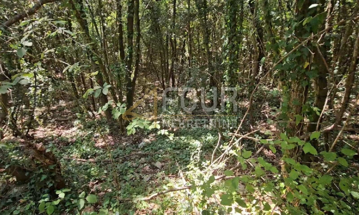 Istra, Marčana - okolica, kmetijsko zemljišče