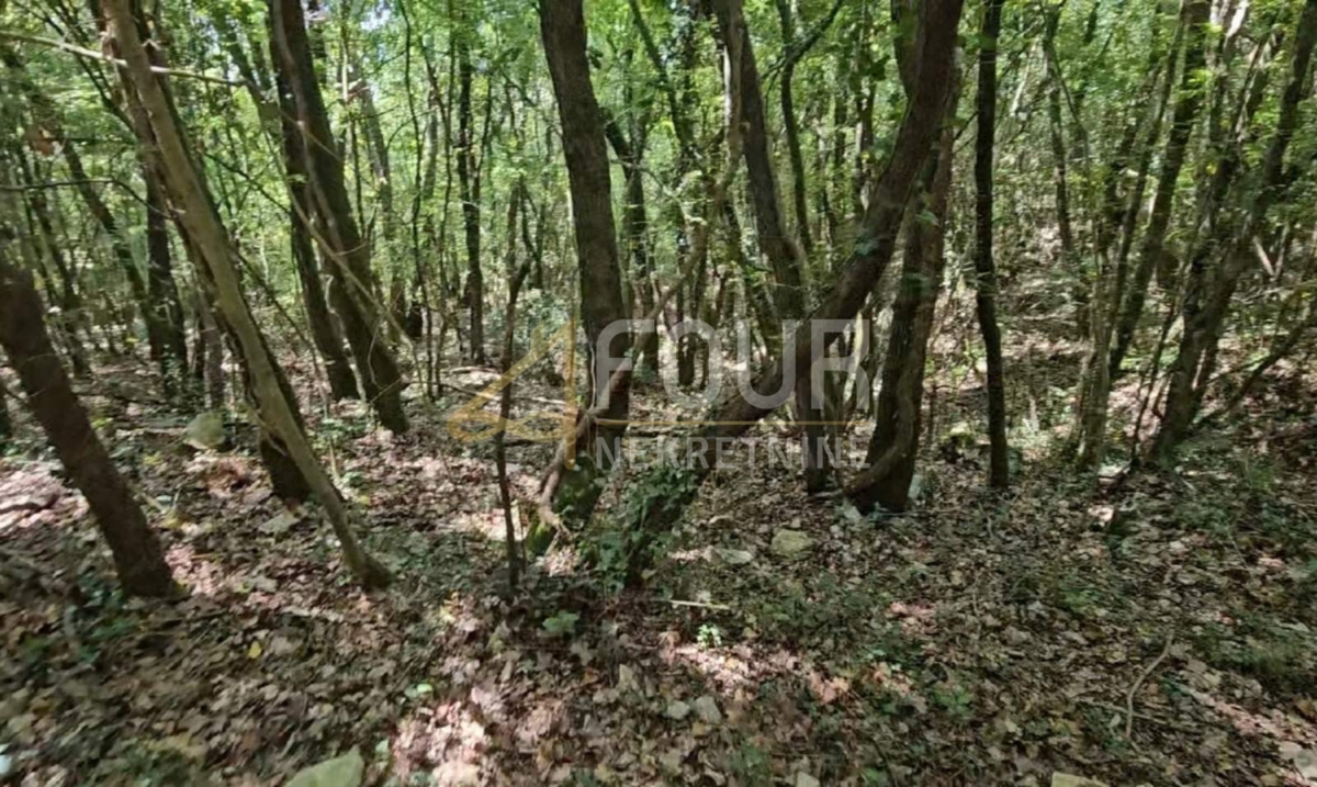 Istra, Marčana - okolica, kmetijsko zemljišče