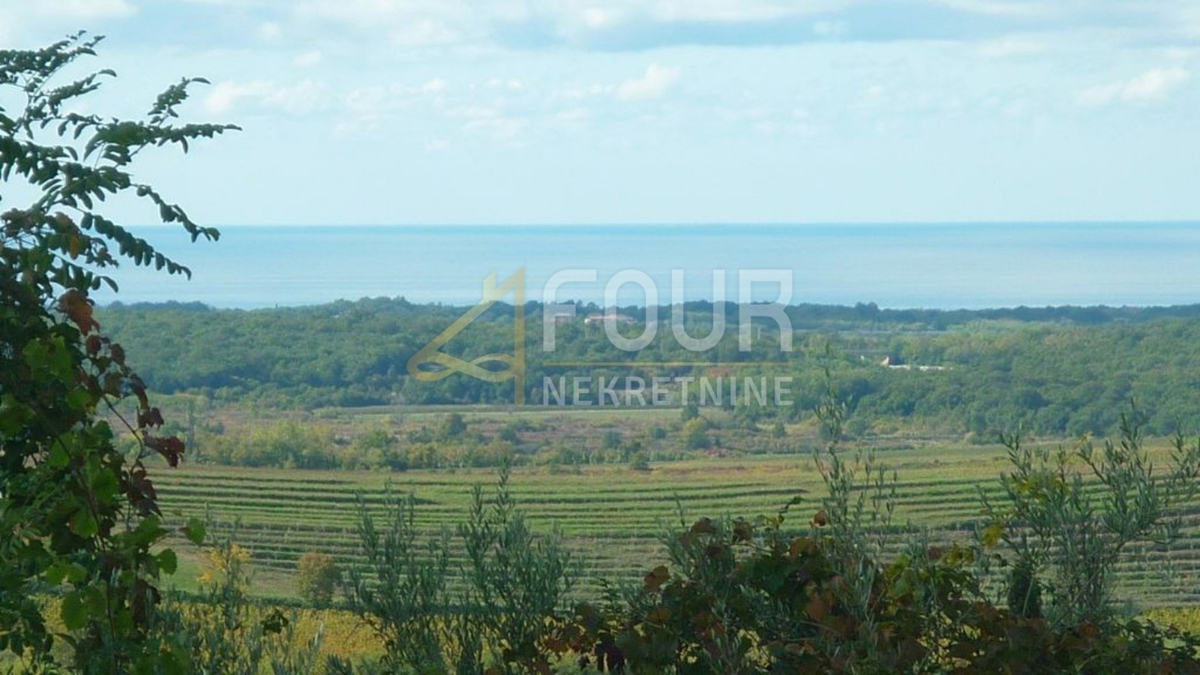 Zemljišče Buje, 1.341m2