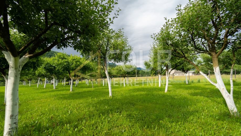 Zemljišče Brod na Kupi, Delnice, 1.960m2