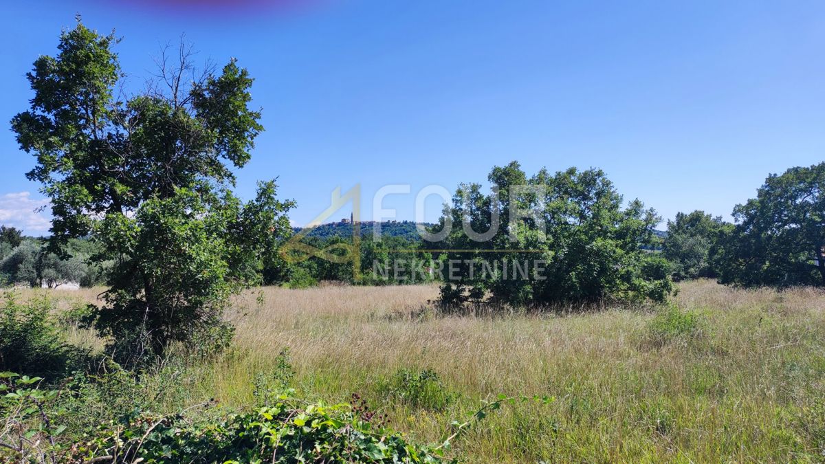 Zemljišče Buje, 5.080m2