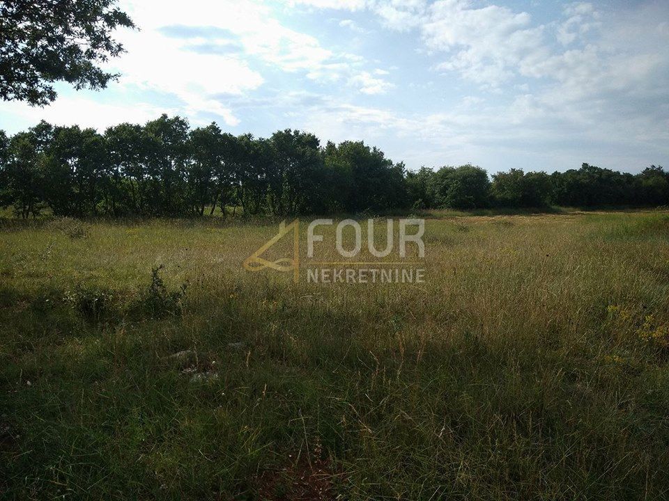 Zemljišče Svetvinčenat, 8.700m2