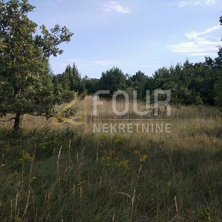Zemljišče Svetvinčenat, 8.700m2