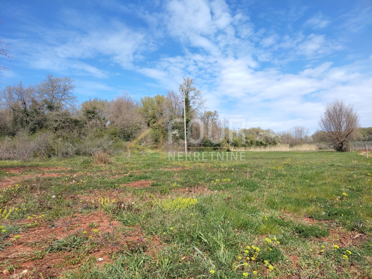 Zemljišče Brtonigla, 1.483m2