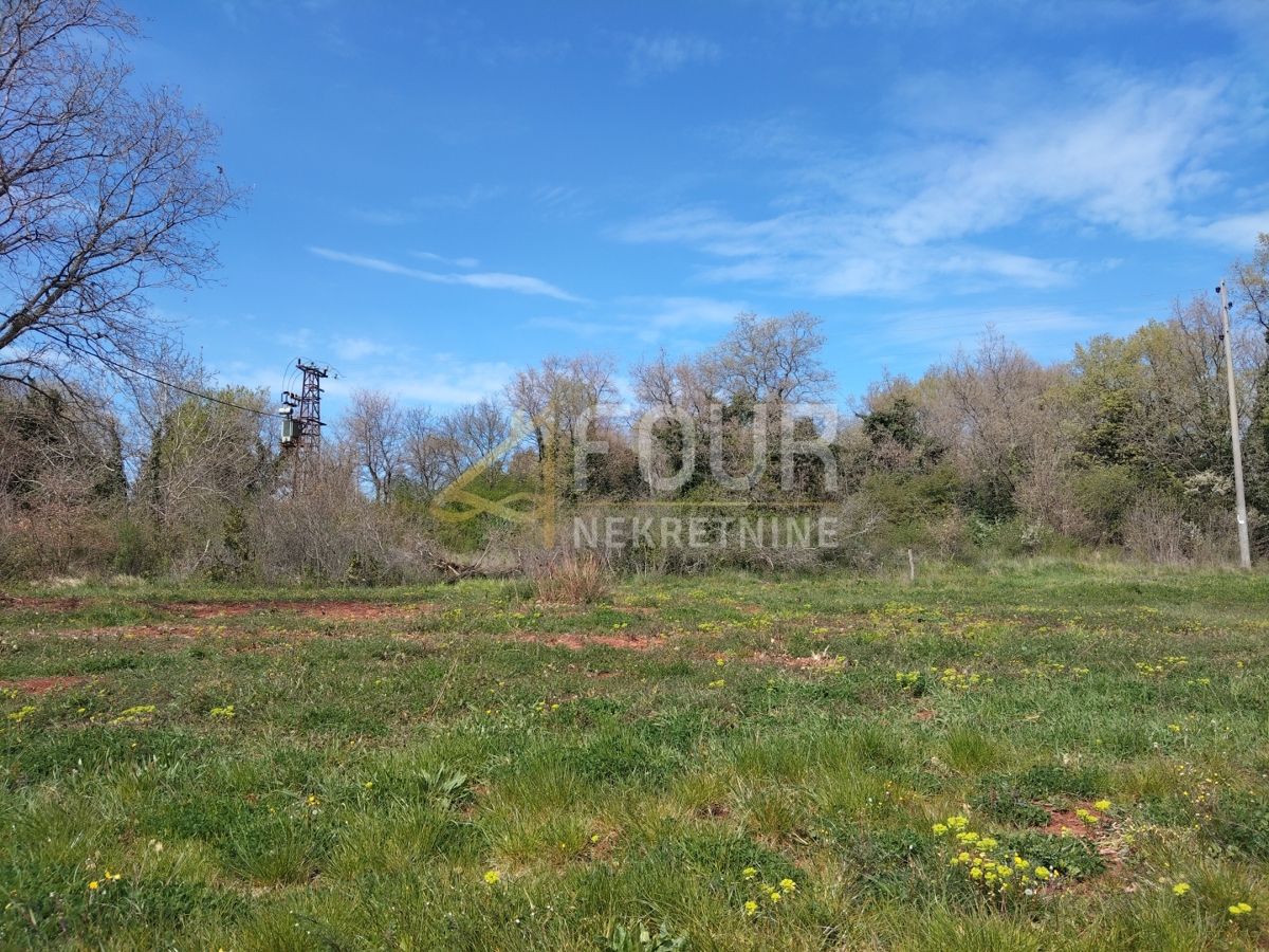 Zemljišče Brtonigla, 1.483m2