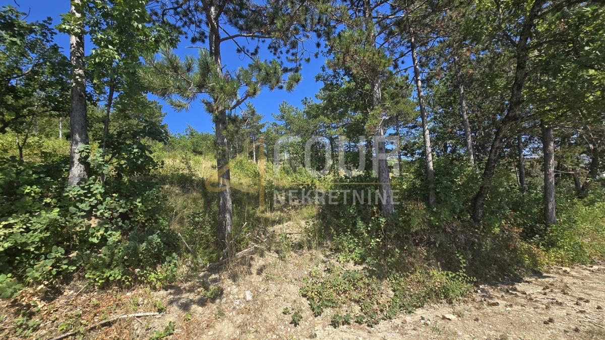 Zemljišče Buzet, 2.068m2