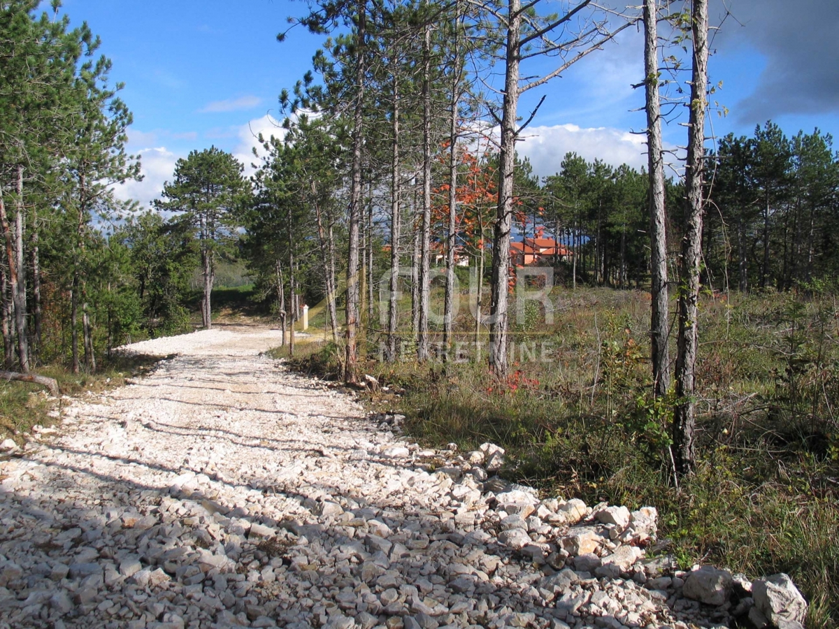 Istra, Gračišče -območje, zemljišče za gradnjo/kmetijstvo, 39.091m2