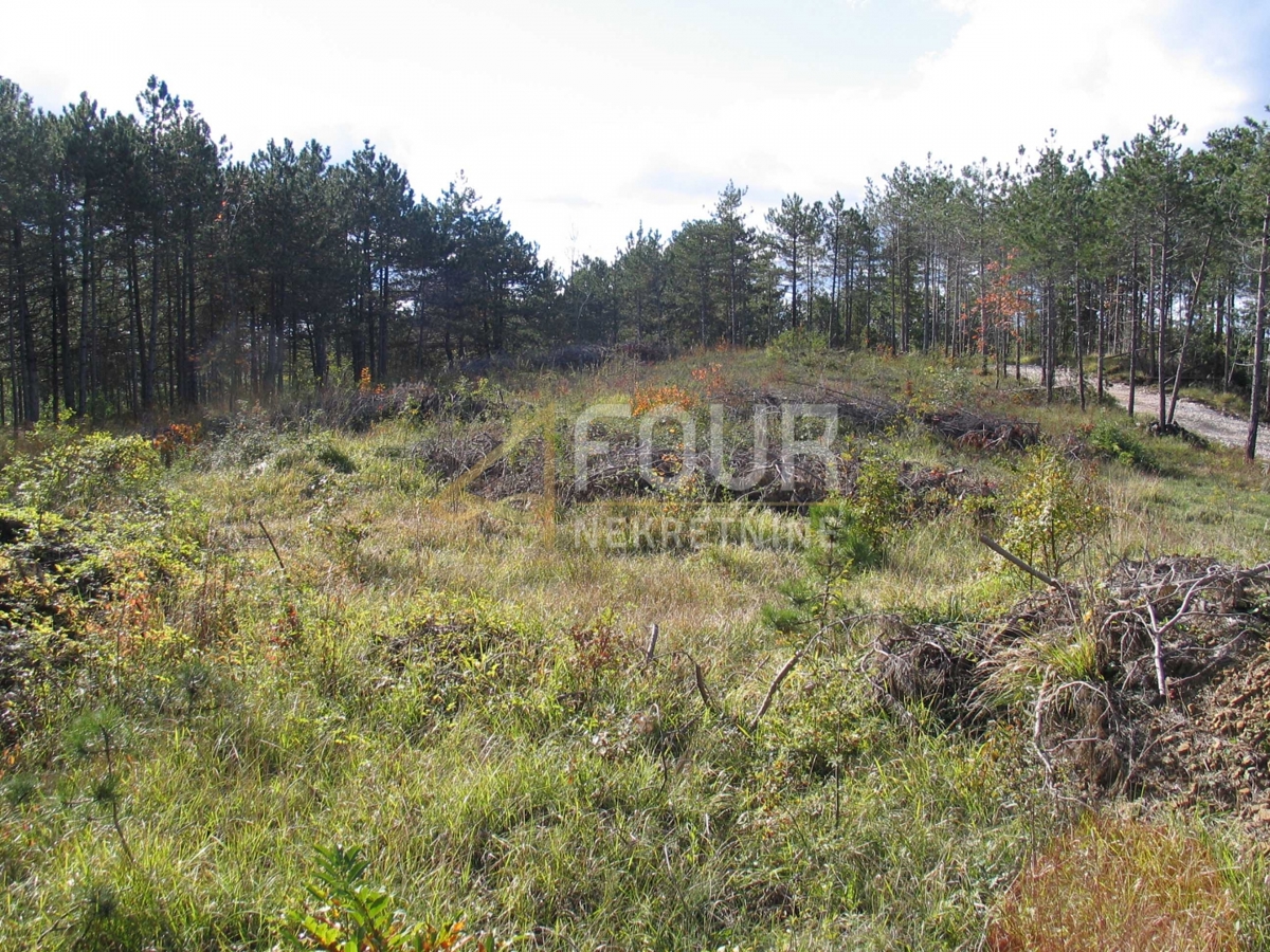 Istra, Gračišče -območje, zemljišče za gradnjo/kmetijstvo, 39.091m2