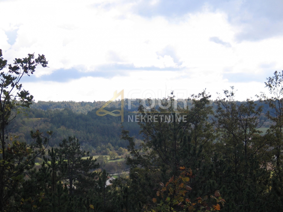 Istra, Gračišče -območje, zemljišče za gradnjo/kmetijstvo, 39.091m2