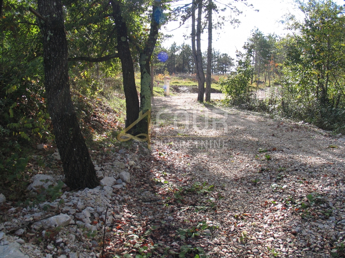 Istra, Gračišče -območje, zemljišče za gradnjo/kmetijstvo, 39.091m2