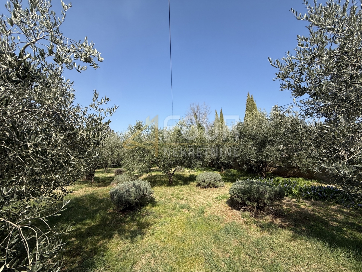 Istra, Galižana, samostojna hiša, 421,51m2