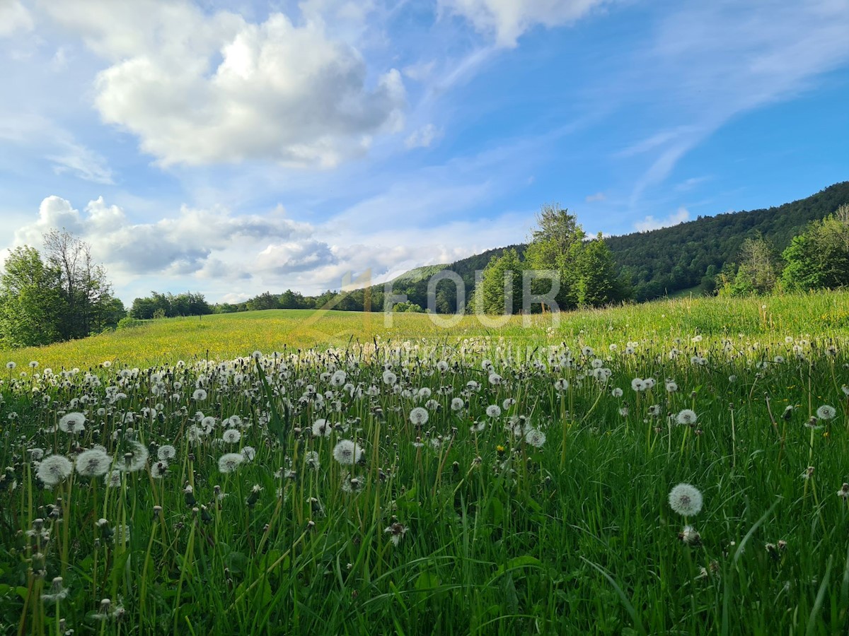 Hiša Begovo Razdolje, Mrkopalj, 210m2