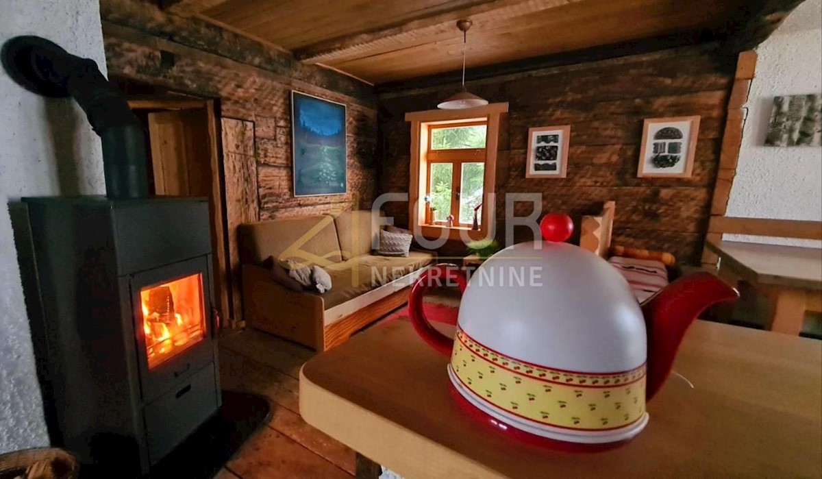 Hiša Begovo Razdolje, Mrkopalj, 210m2