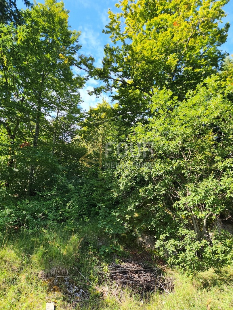 Zemljišče Stari Laz, Ravna Gora, 766m2