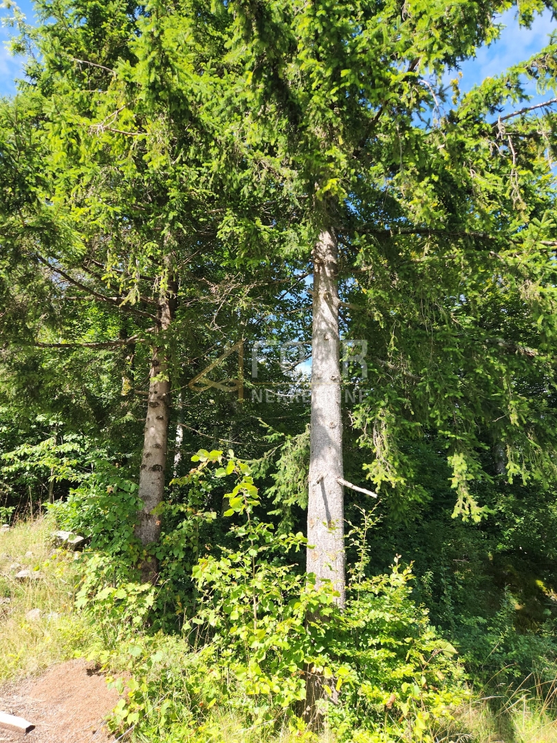 Zemljišče Stari Laz, Ravna Gora, 766m2