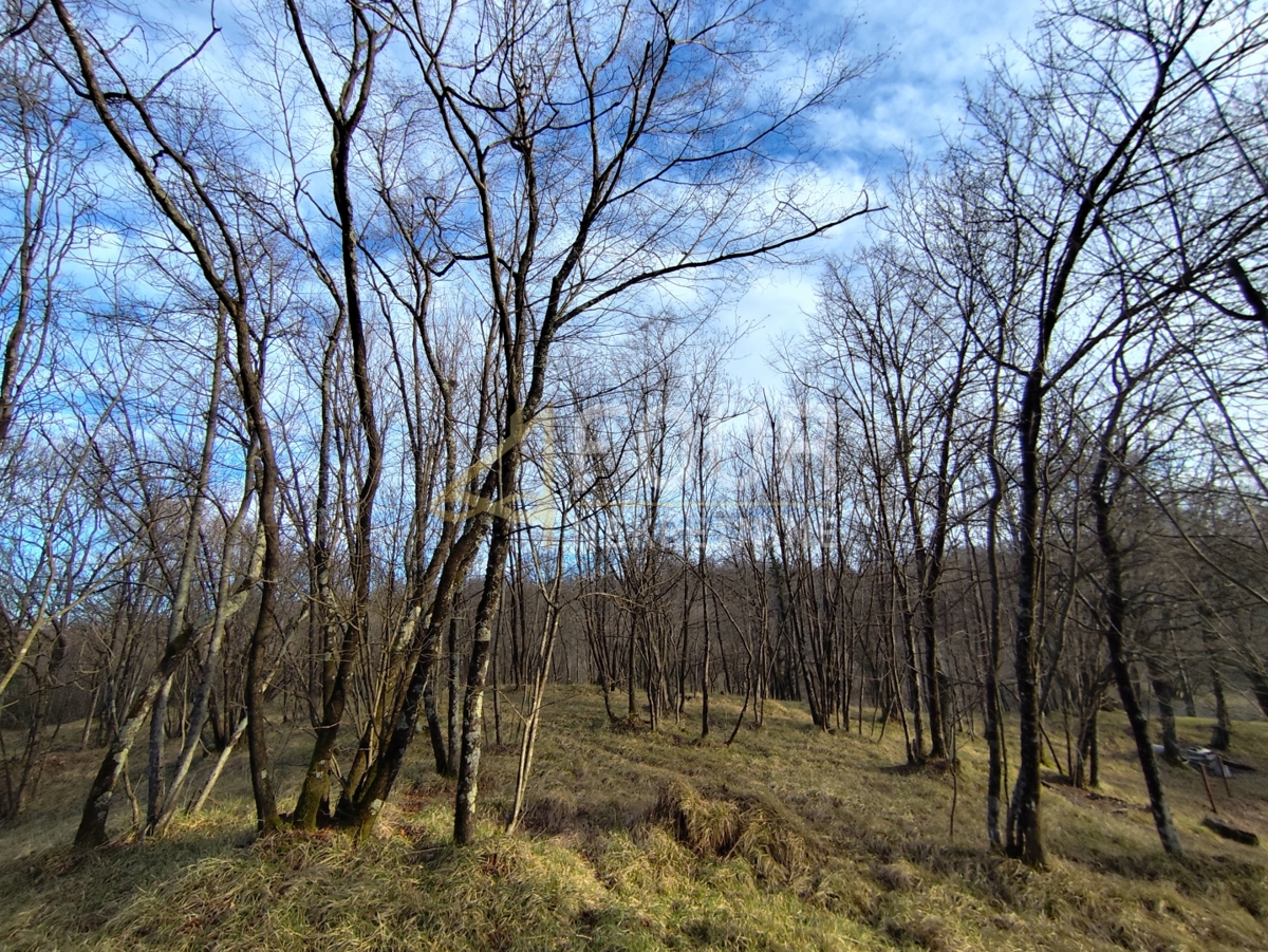 Zemljišče Saršoni, Viškovo, 1.058m2