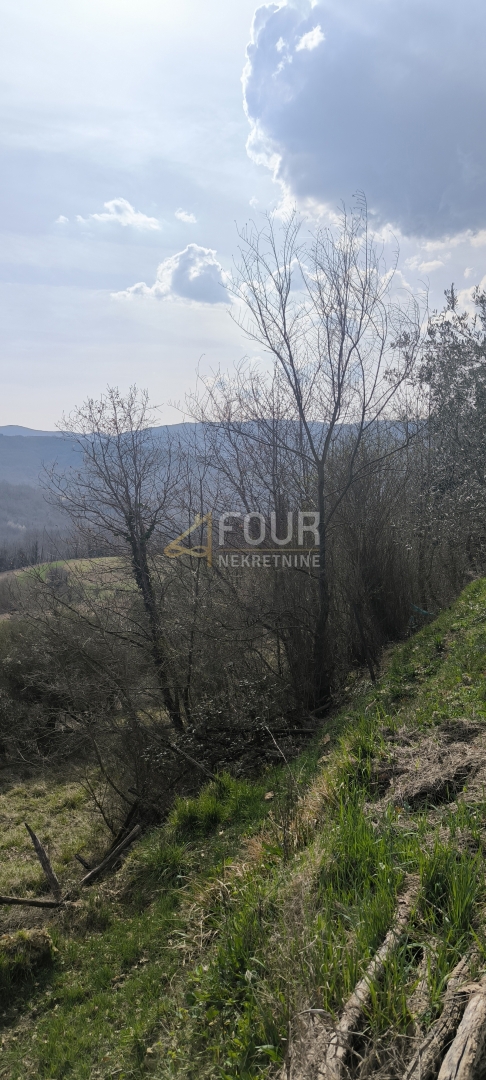 Istra, Buzet - okolica, kmetijsko zemljišče.