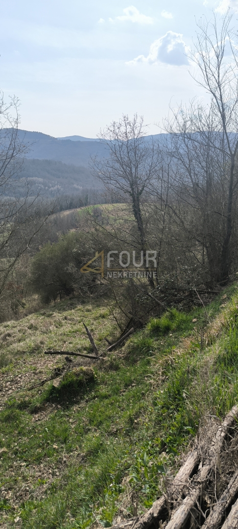 Istra, Buzet - okolica, kmetijsko zemljišče.