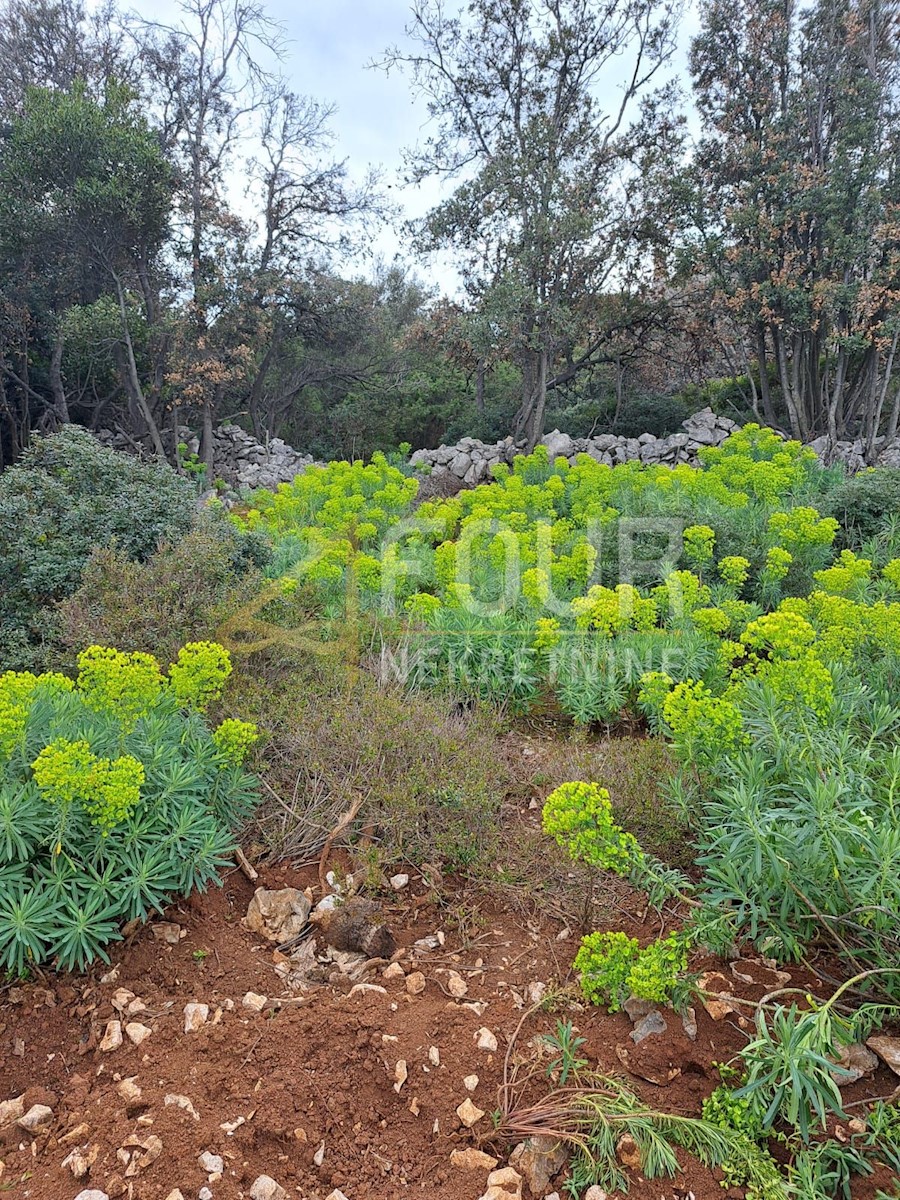 Zemljišče Punta Križa, Mali Lošinj, 7.232m2