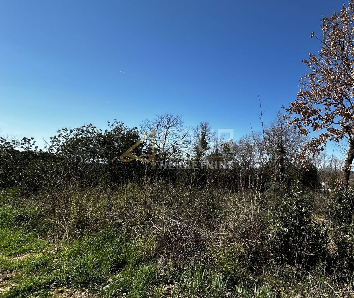 Zemljišče Višnjan, 2.431m2