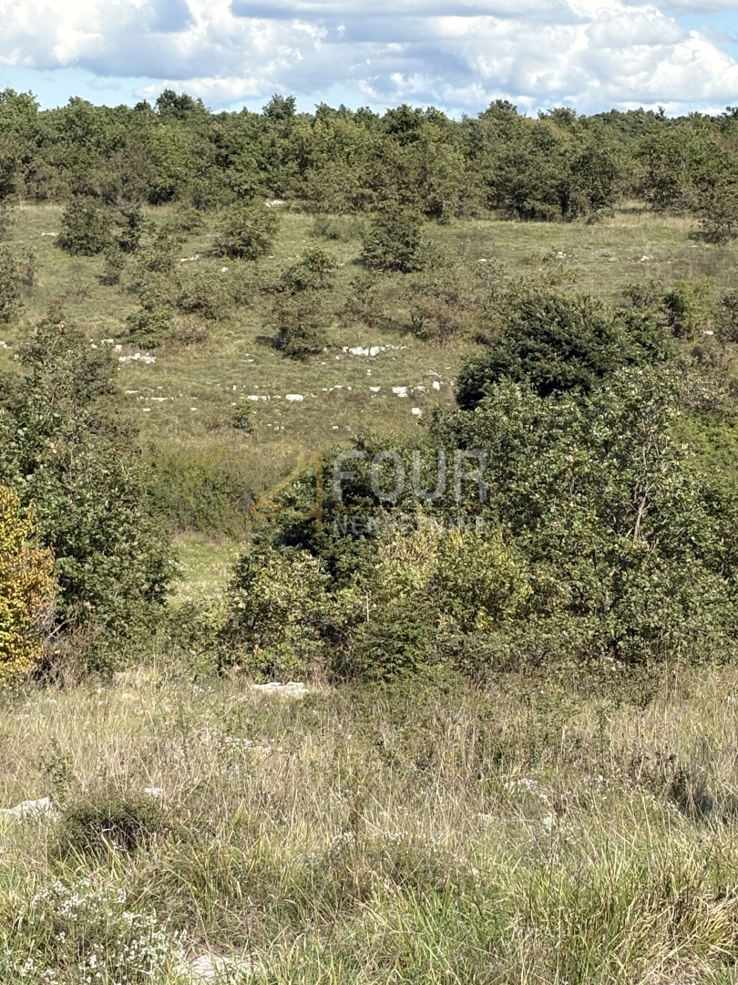 Zemljišče Svetvinčenat, 2.913m2