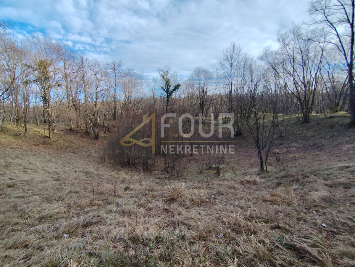 Zemljišče Saršoni, Viškovo, 6.029m2