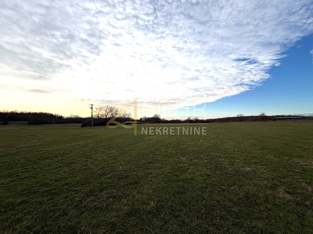 Istra, Poreč - okolica, kmetijsko zemljišče