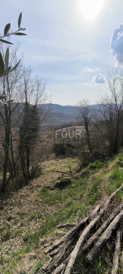 Istra, Buzet - okolica, kmetijsko zemljišče