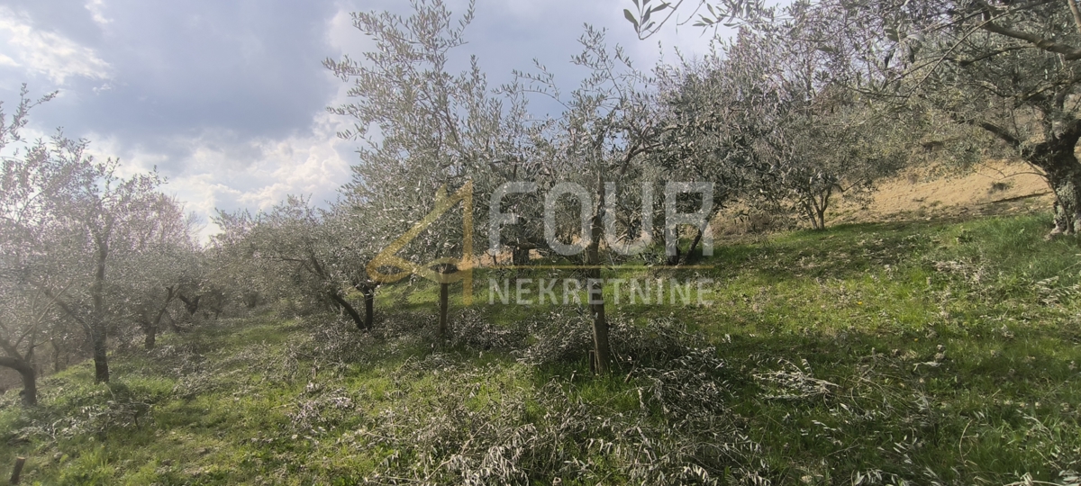 Istra, Buzet - okolica, kmetijsko zemljišče