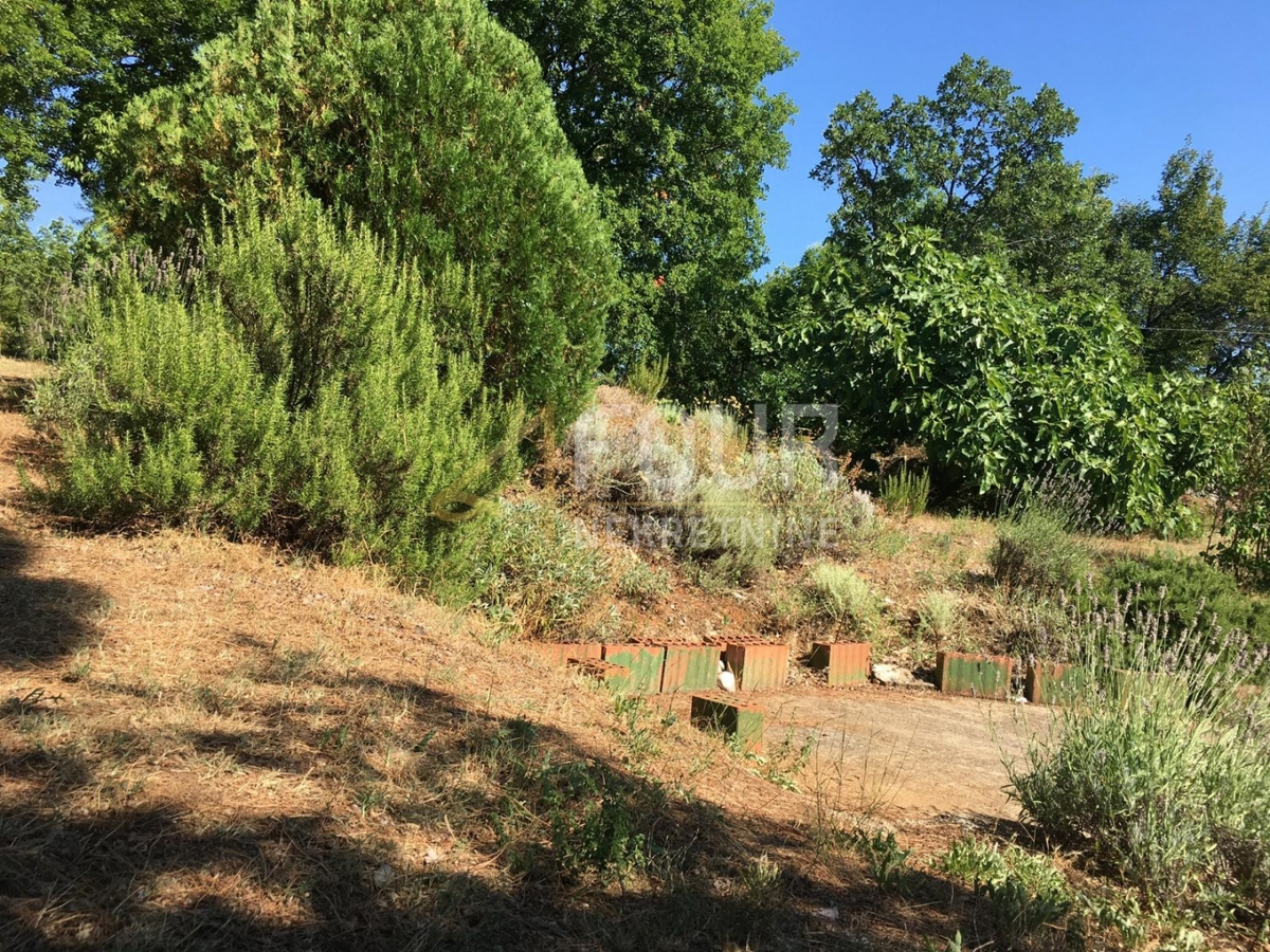 Hiša Trget, Raša, 247,26m2