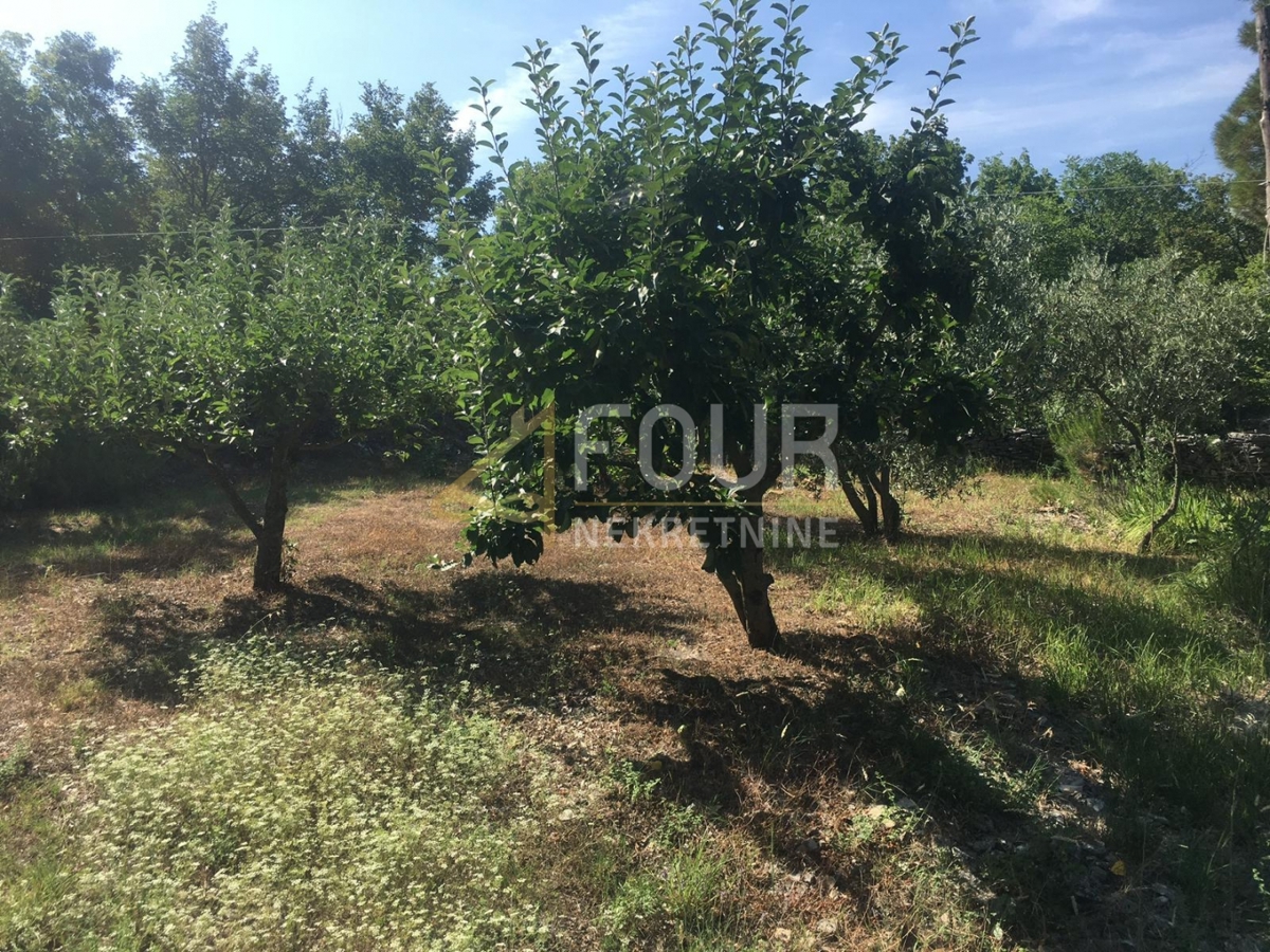 Hiša Trget, Raša, 247,26m2